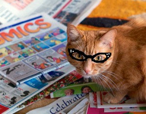 cat reading newspaper (with glasses drawn on)